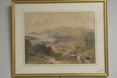 Lot 496 - 19th Century lithographs.