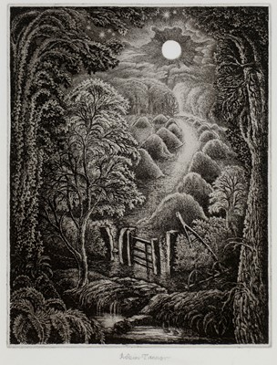 Lot 272 - Robin Tanner - etching.