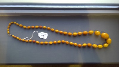 Lot 28 - Butterscotch amber bead necklace