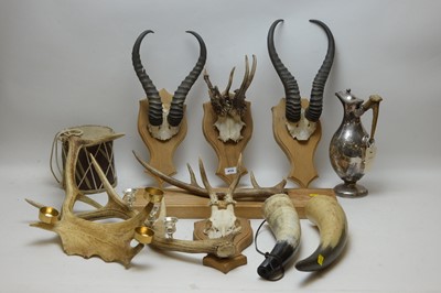 Lot 414 - Taxidermy horns and other items.
