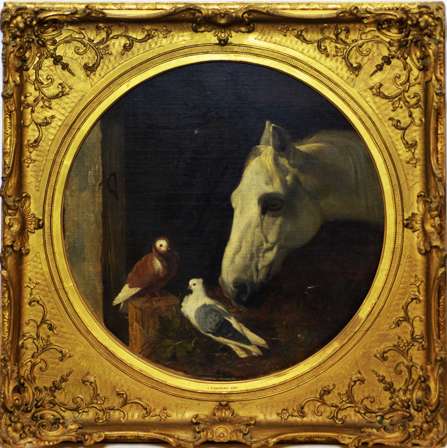 Lot 548 - John Frederick Herring, snr. - oil.