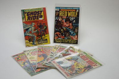 Lot 192 - The Ghost Rider and others.