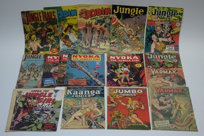 Lot 495 - Nyoka The Jungle Girl; and other issues.