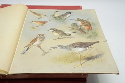 Lot 7 - Thorburn (Archibald) British Birds.