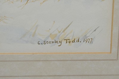 Lot 285 - Charles Stanley Todd - watercolour