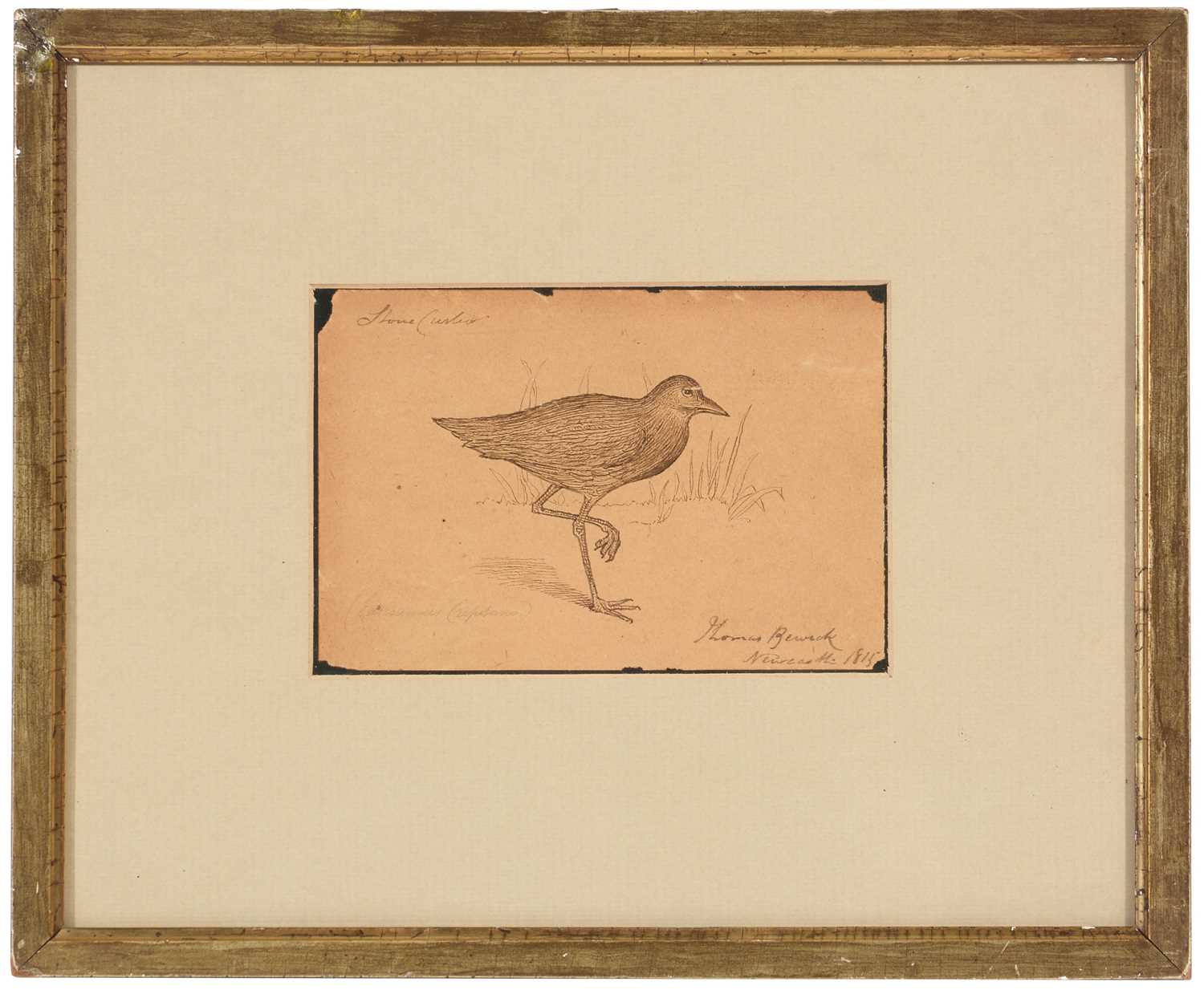 Lot 235 - Attributed to Thomas Bewick - watercolour.
