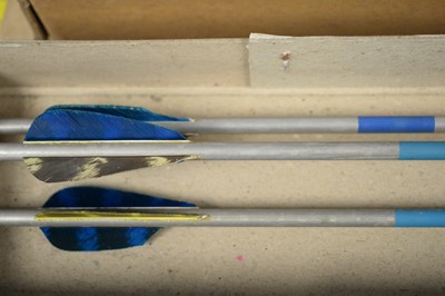 Lot 289 - Three modern bows and five boxes of practice arrows.