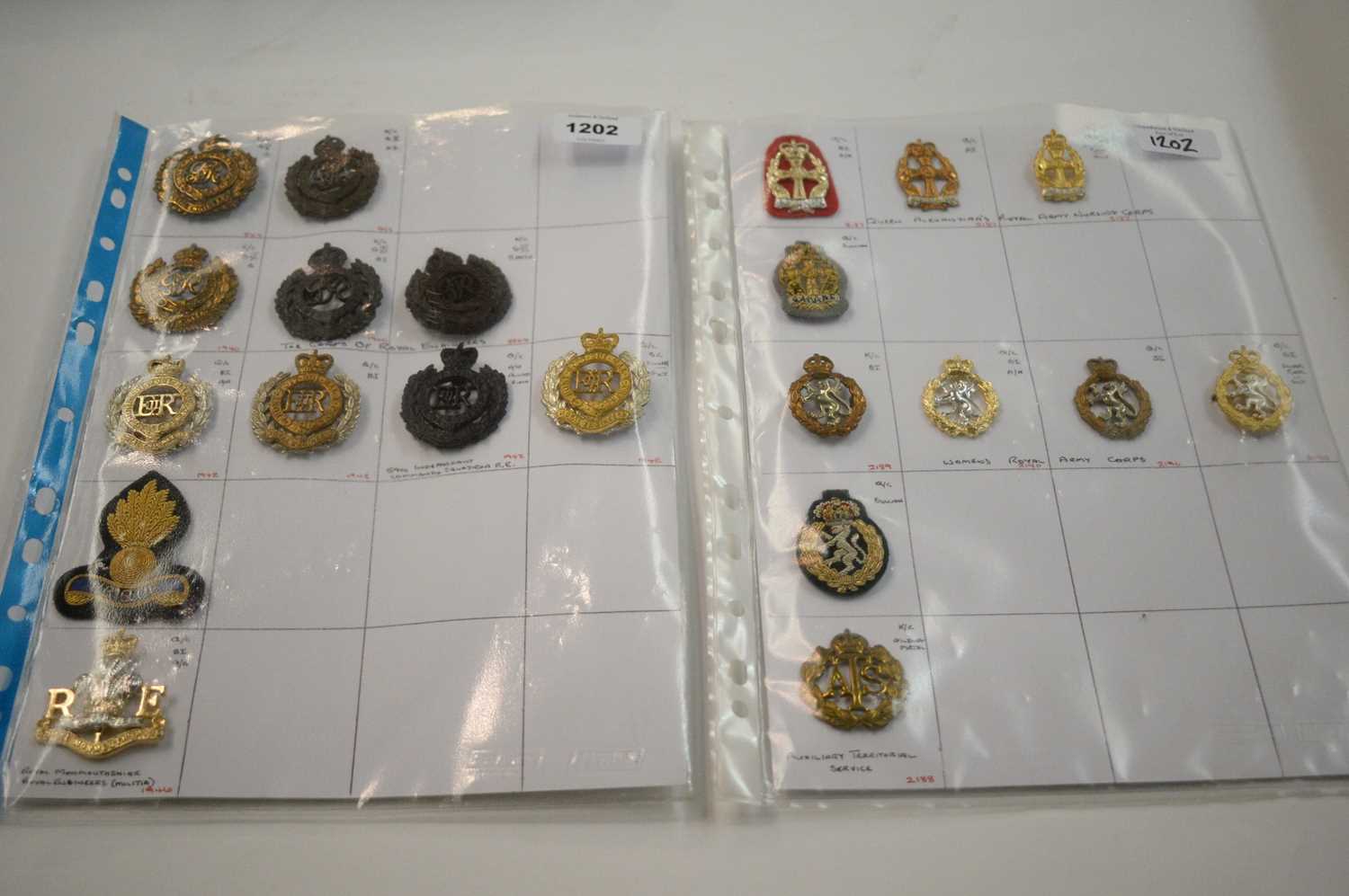 Lot 1202 - A collection of 21 cap badges.