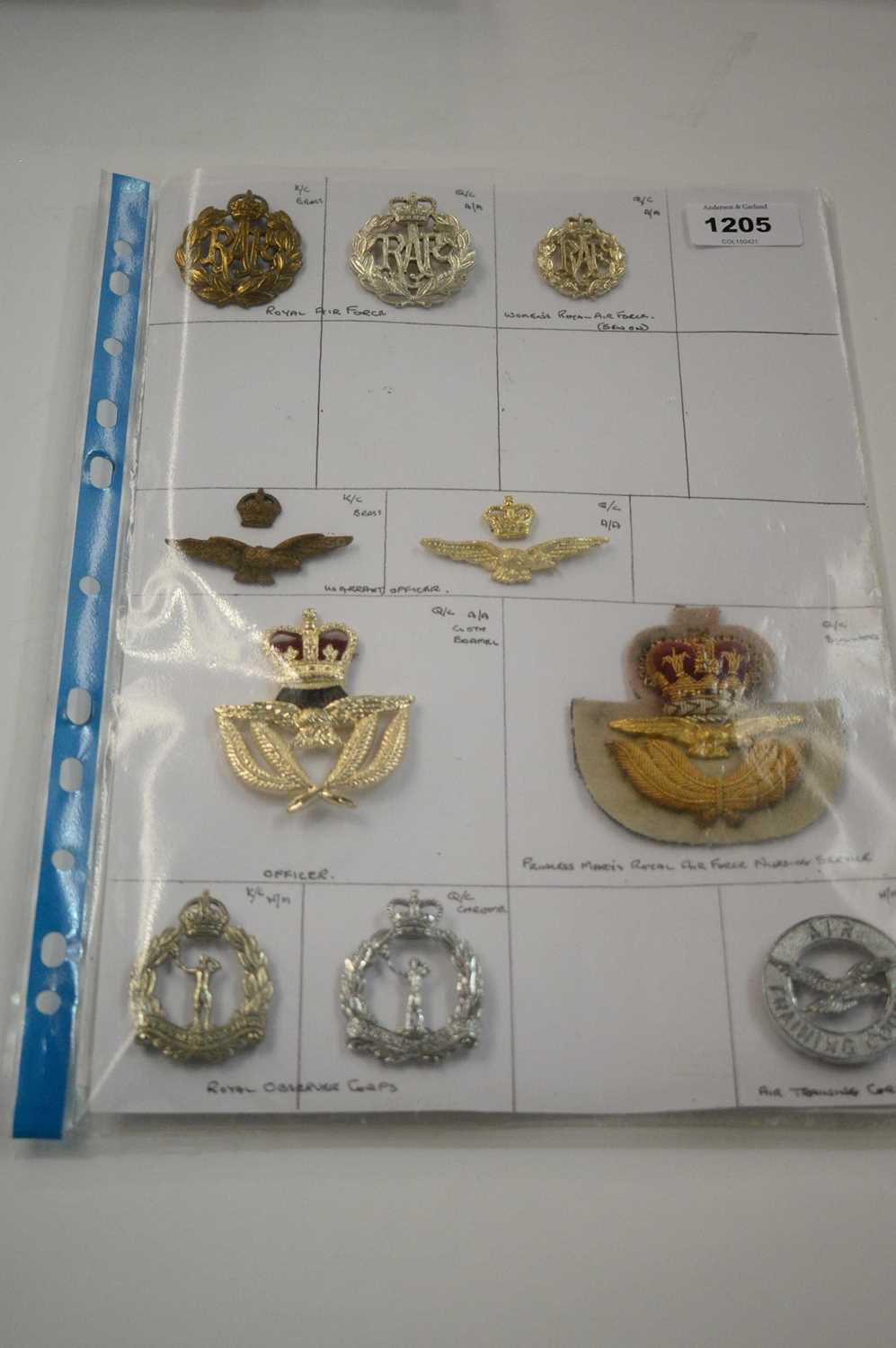 Lot 1205 - A collection of 10 RAF cap badges.