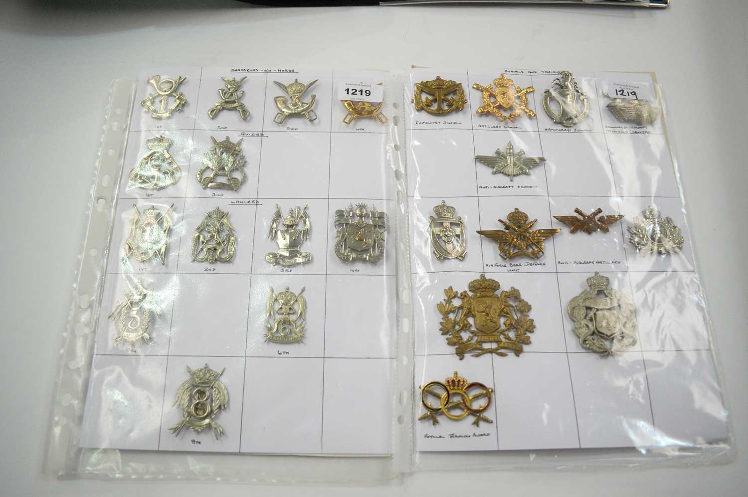 Lot 1219 - A collection of 25 Belgian cap badges.
