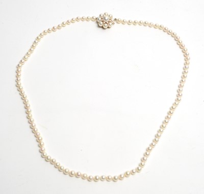 Lot 23 - A cultured pearl necklace