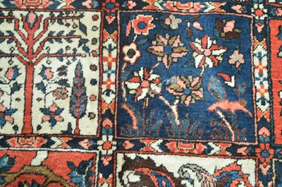 Lot 685 - Bakhtiari carpet