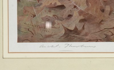 Lot 11 - Archibald Thorburn - signed prints