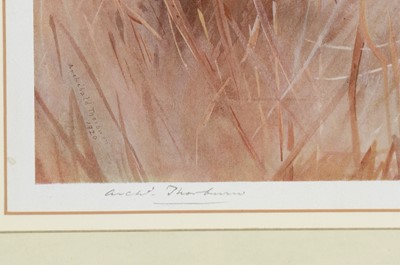 Lot 11 - Archibald Thorburn - signed prints