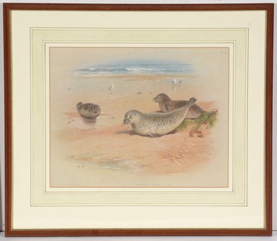 Lot 12 - After Archibald Thorburn - lithographs