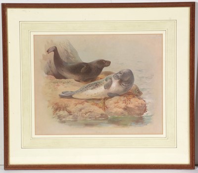 Lot 12 - After Archibald Thorburn - lithographs