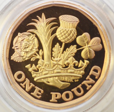 Lot 7 - Nations of the Crown £1 gold proof coin