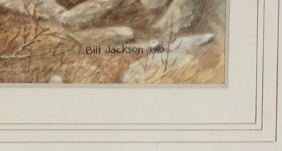 Lot 24 - Bill Jackson - watercolour