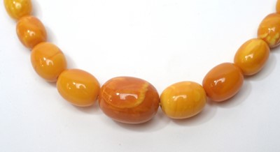Lot 42 - A butterscotch amber bead necklace