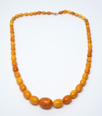 A 'butterscotch' amber bead necklace, of forty three oval graduated beads,  largest bead 4cm, 155g.