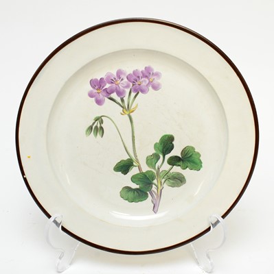 Lot 497 - Derby botanical plate, Swansea botanical plate