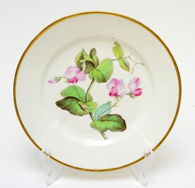 Lot 497 - Derby botanical plate, Swansea botanical plate
