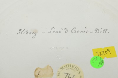Lot 497 - Derby botanical plate, Swansea botanical plate