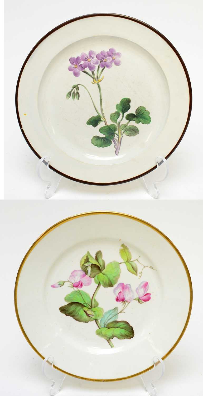 Lot 497 - Derby botanical plate, Swansea botanical plate
