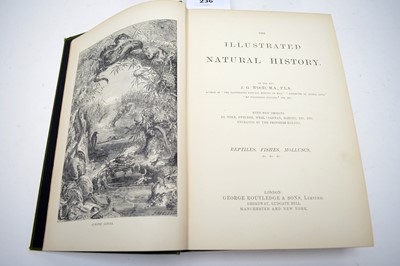 Lot 236 - Five volumes of Wood's Illustrated Natural History