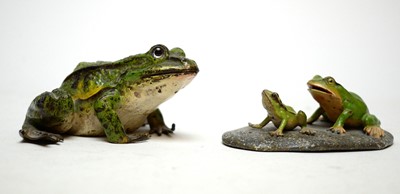 Lot 303 - Three cold painted bronze frog figures