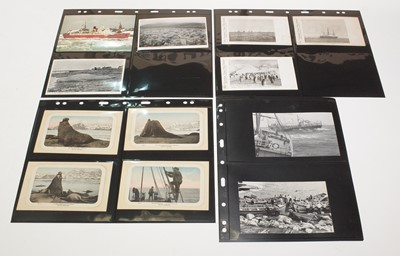 Lot 750 - Postcards of The Falkland Islands