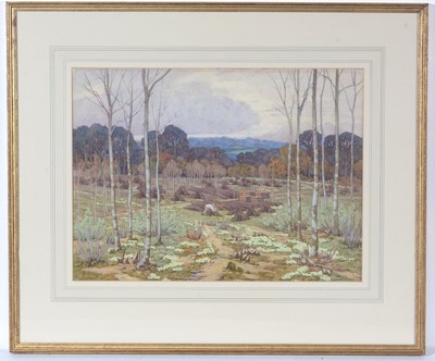 Lot 64 - Frances Drummond - Sping Clearing in the Wood with Yellow Primroses in Bloom | watercolour