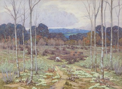 Lot 64 - Frances Drummond - Sping Clearing in the Wood with Yellow Primroses in Bloom | watercolour