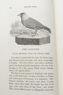 Lot 700 - Bewick's History of British Birds.