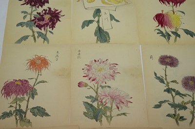 Lot 500 - Keika Hasegawa (active 1892-1905) 16 woodblock prints chrysanthemums