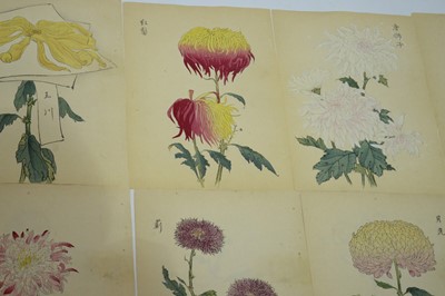 Lot 500 - Keika Hasegawa (active 1892-1905) 16 woodblock prints chrysanthemums