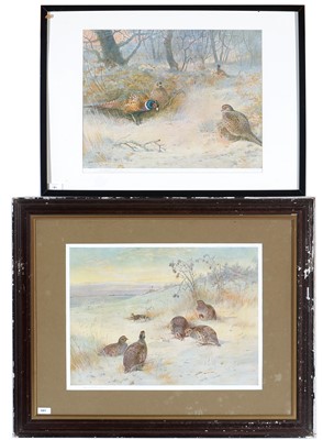 Lot 181 - After Archibald Thorburn - offset lithograph