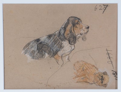 Lot 92 - Attributed to George Vernon Stokes - Dog Character Studies | charcoal and pastel