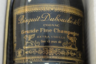 Lot 622 - Bottle of Bisquit Dubouche & Co. Champagne Cognac, boxed.