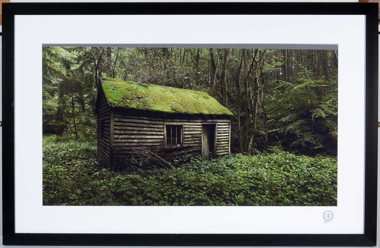Lot 481 - Dan Bolam - Cabin the in the Woods | photograph