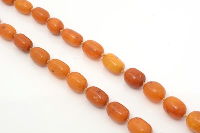 Lot 454 - A single row amber bead necklace