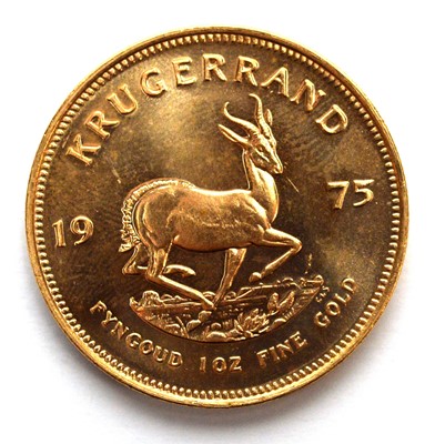 Lot 222 - South Africa 1oz fine gold Krugerrand, 1975.
