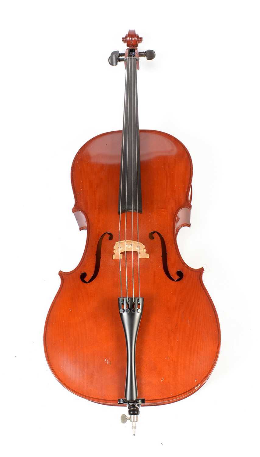 39 - Benedikt Lang Cello cased
