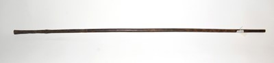 Lot 958 - South African walking stick