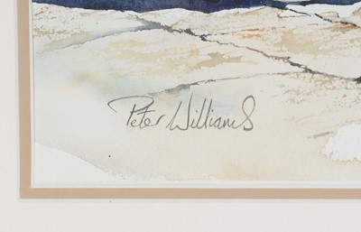 Lot 32 - Peter Williams - Fair Weather Friends | watercolour