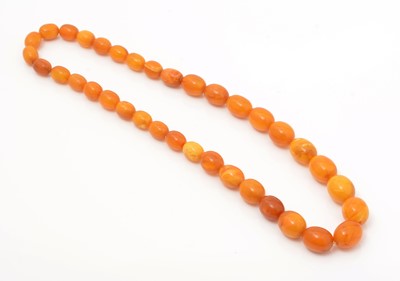 Lot 516 - A single row amber bead necklace