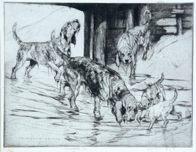 Lot 708 - After George Vernon Stokes - Otter Hounds and Pups | etching