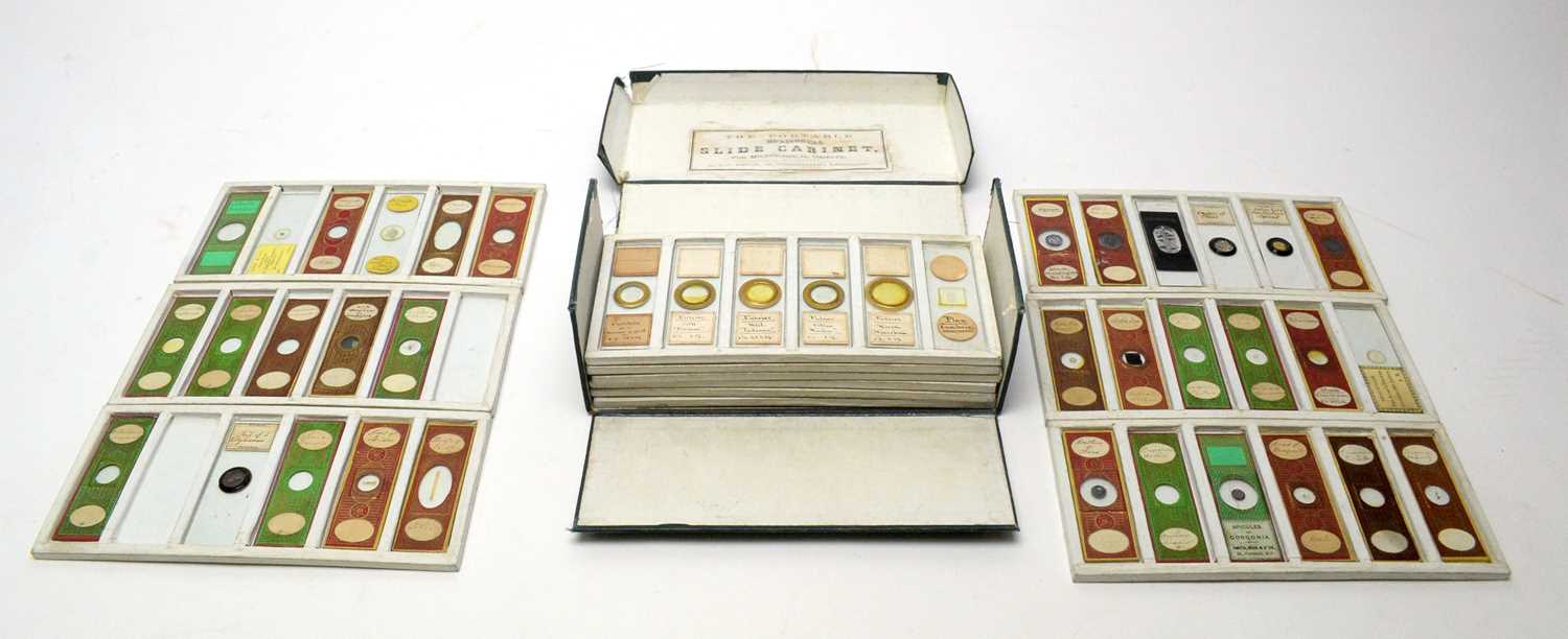 Lot 768 - A collection of early 20th Century microscope slides