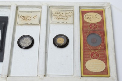 Lot 768 - A collection of early 20th Century microscope slides