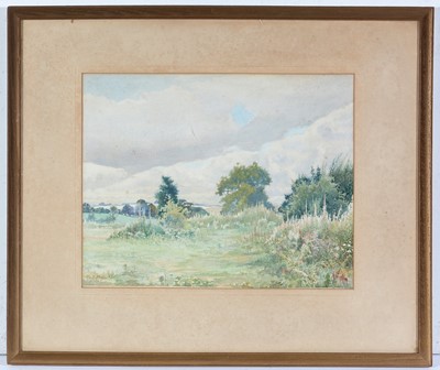 Lot 74 - Alexander Matheson McLellan RSW - Wildflower Meadow | watercolour